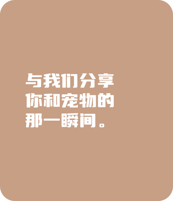 米兰官方宠物，无处不在